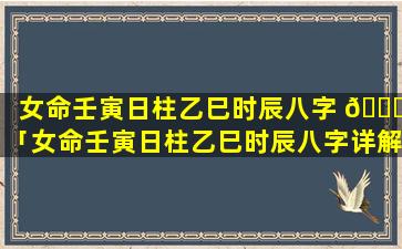 女命壬寅日柱乙巳时辰八字 🐈 「女命壬寅日柱乙巳时辰八字详解」